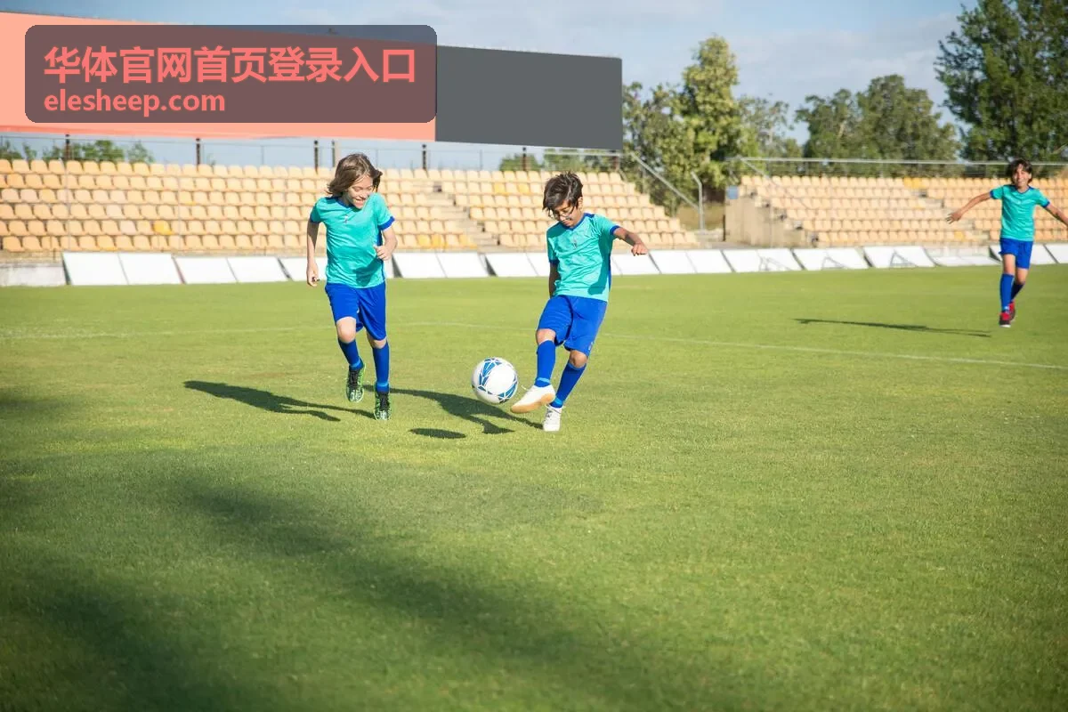华体官网会员中心登录入口