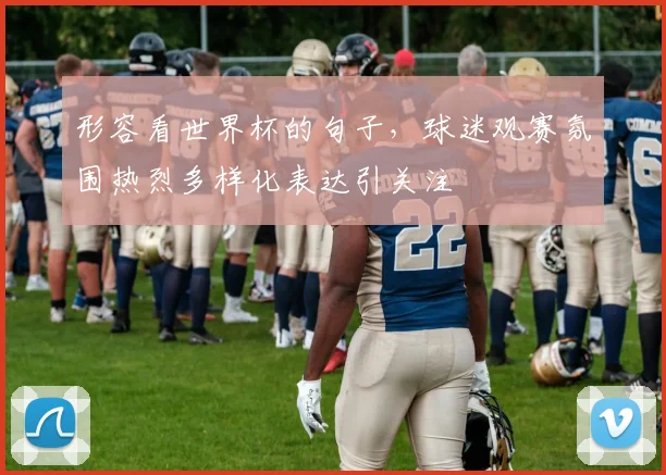 形容看世界杯的句子，球迷观赛氛围热烈多样化表达引关注