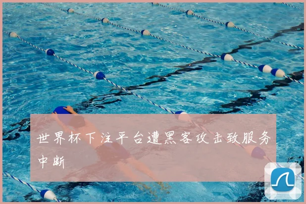 世界杯下注平台遭黑客攻击致服务中断